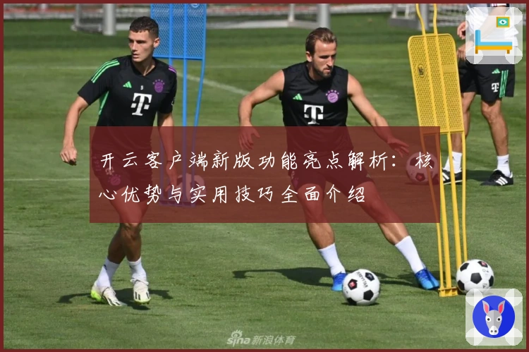 开云客户端新版功能亮点解析:核心优势与实用技巧全面介绍